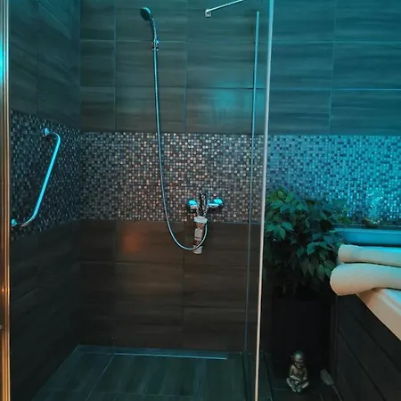 Apartment Wellness Stodolni *